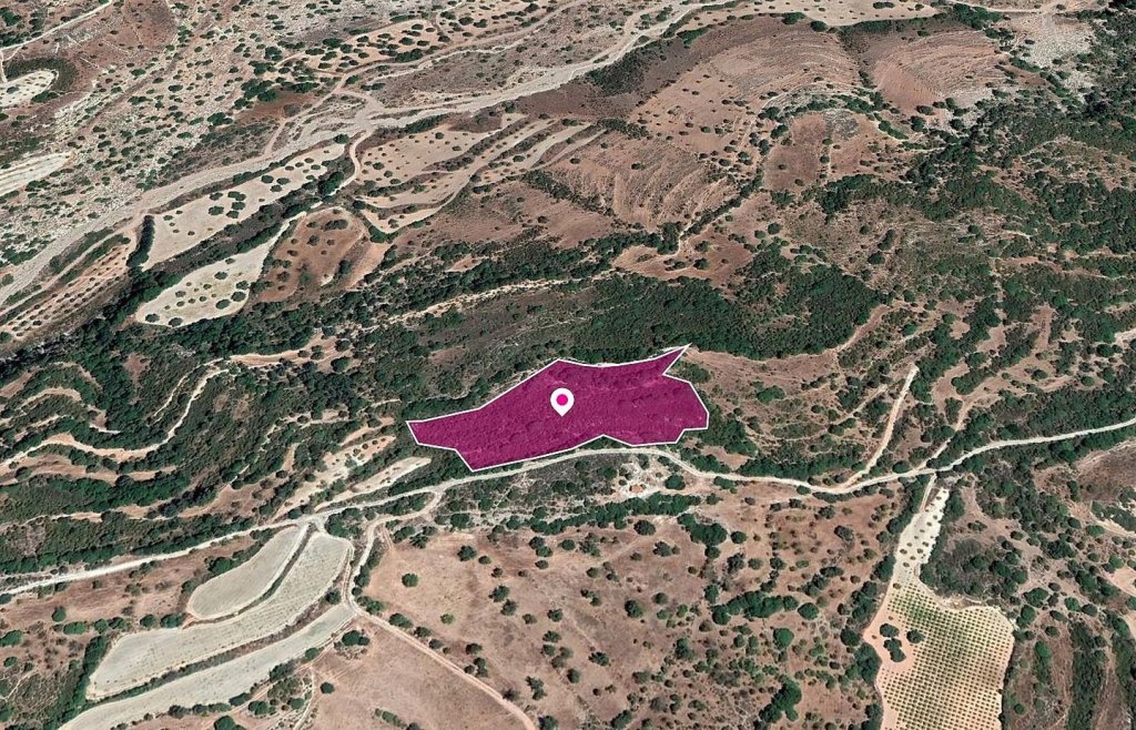 (Share) Agricultural Field, Choulou, Paphos | Photo 1