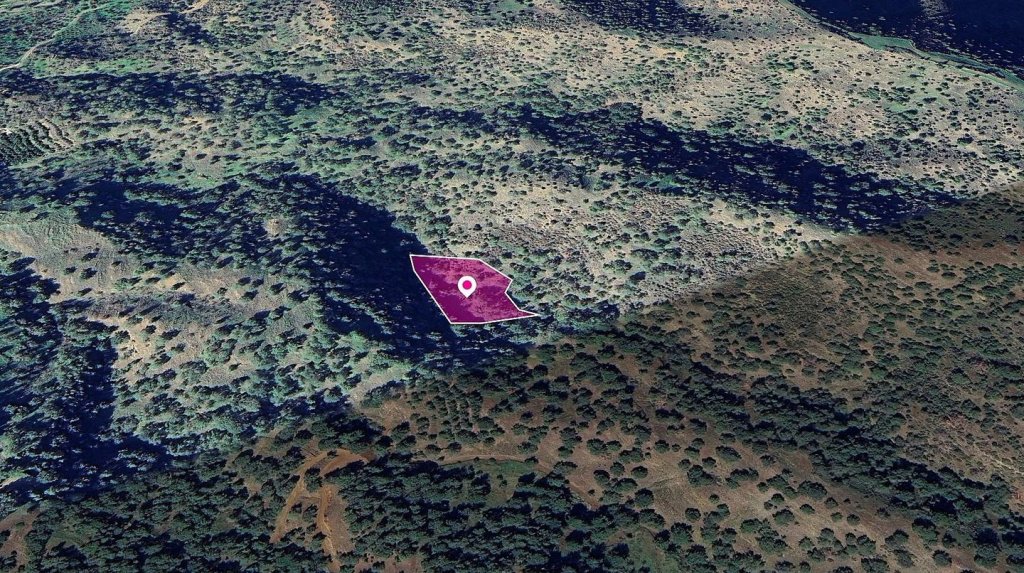 Agricultural Field, Pomos, Paphos | Photo 1