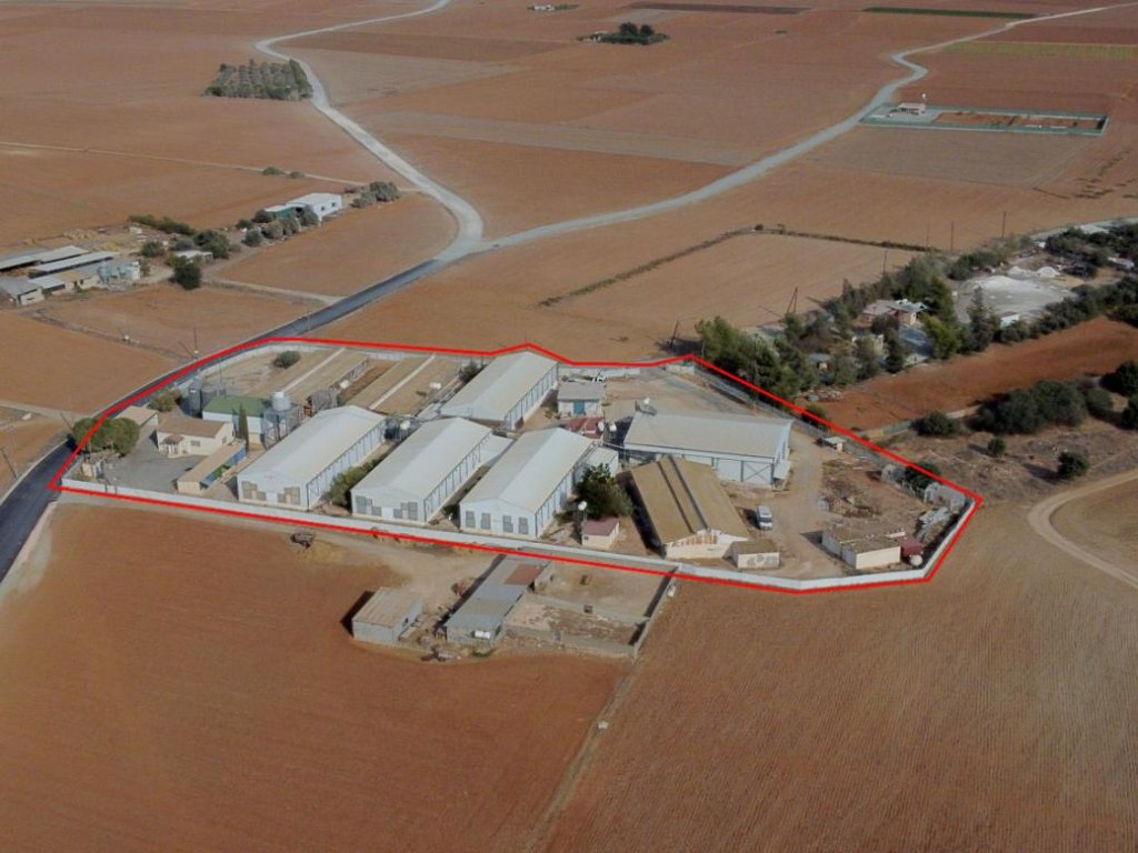 Farm in Xylotymvou, Larnaca | Photo 1