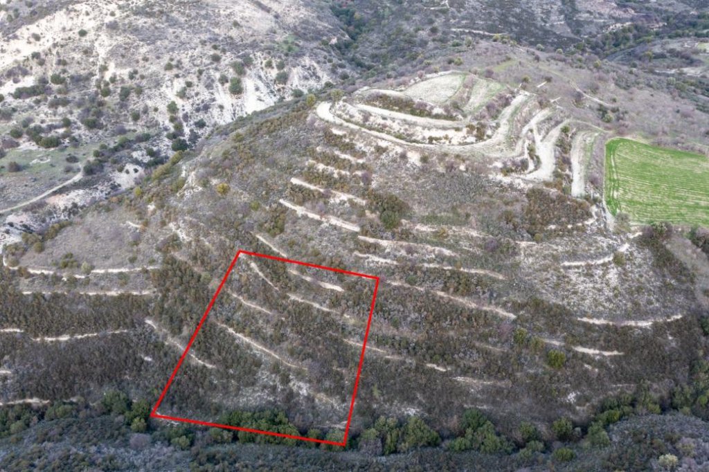 Field in Dora, Limassol | Photo 1