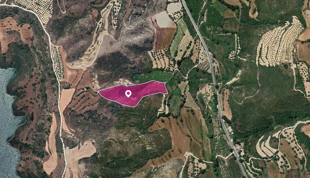Shared Agricultural Field, Kato Akourdaleia, Paphos | Photo 1