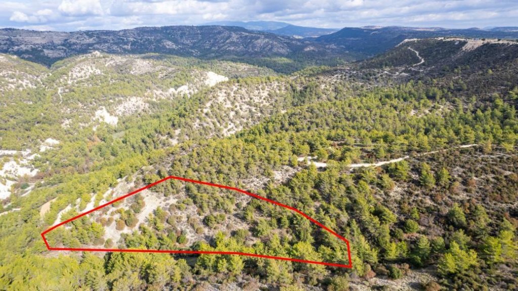 Shared field in Anogyra, Limassol | Photo 1