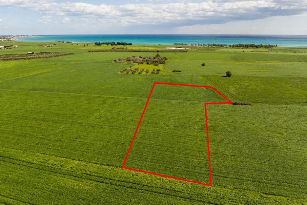 Agricultural field in Softades, Larnaca | Photo 1