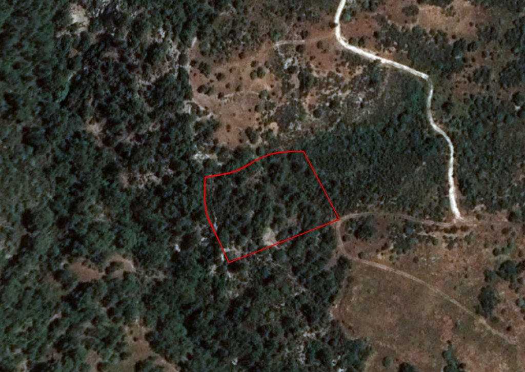 Field in Dora, Limassol | Photo 1