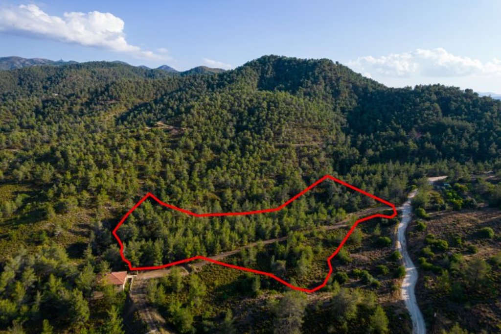 Agricultural field in Klirou, Nicosia | Photo 1