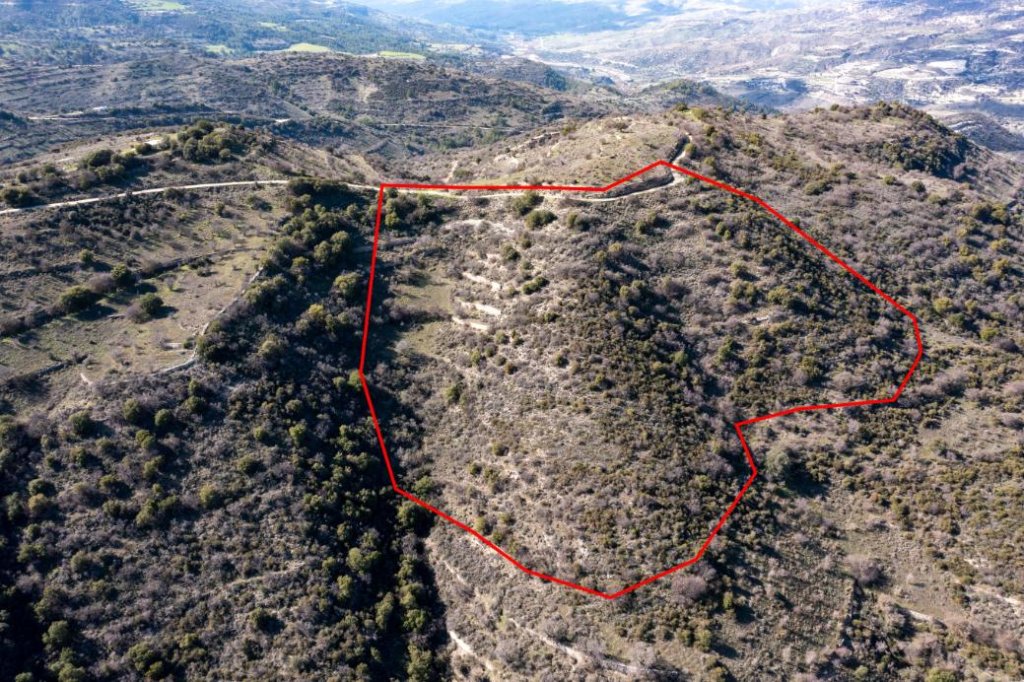 Field in Dora, Limassol | Photo 1