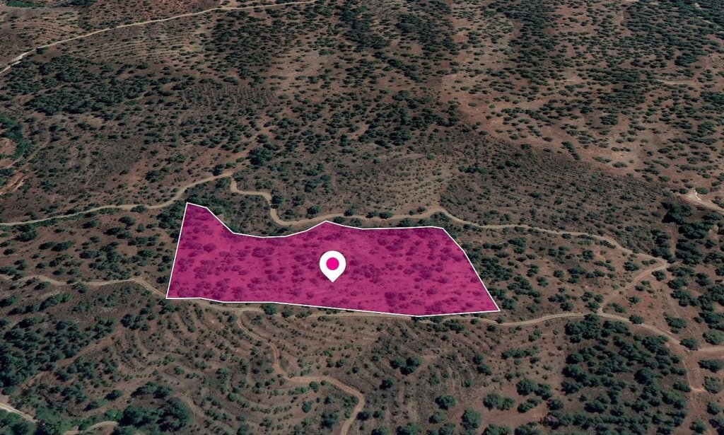 Special Protection Zone Field in Agios Theodoros, Nicosia | Photo 1