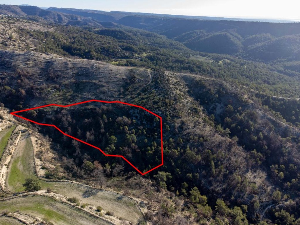 Field in Pano Archimandrita, Paphos | Photo 1