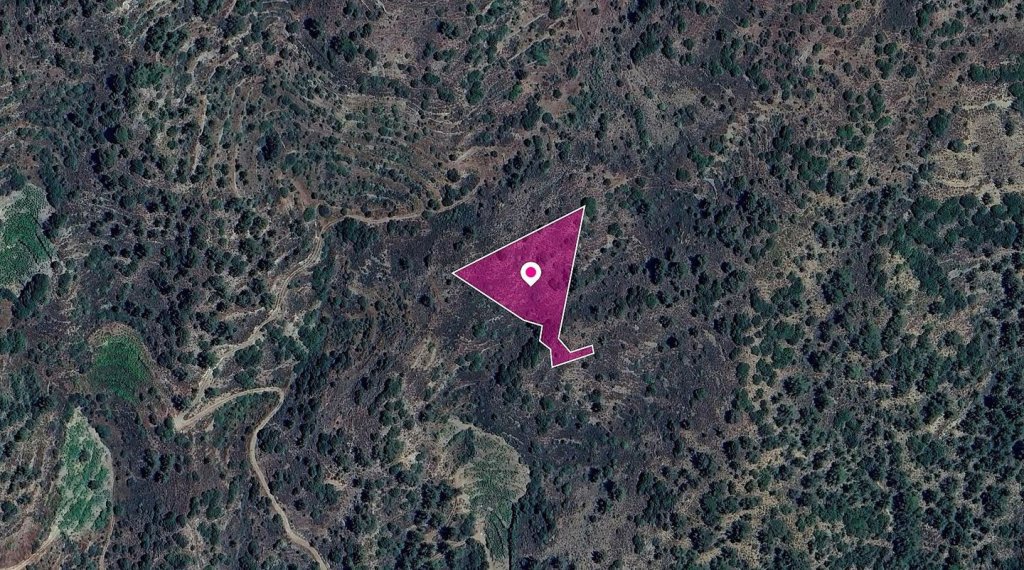 Field in Zoopigi Community, Limassol | Photo 1