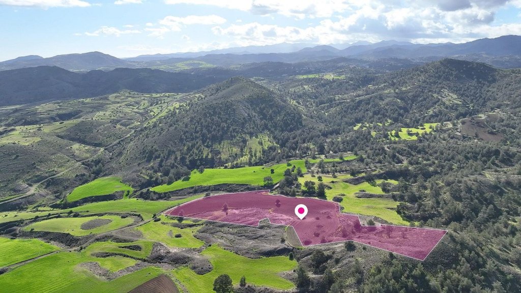 Livestock field in Agia Marina Xyliatou, Nicosia | Photo 1