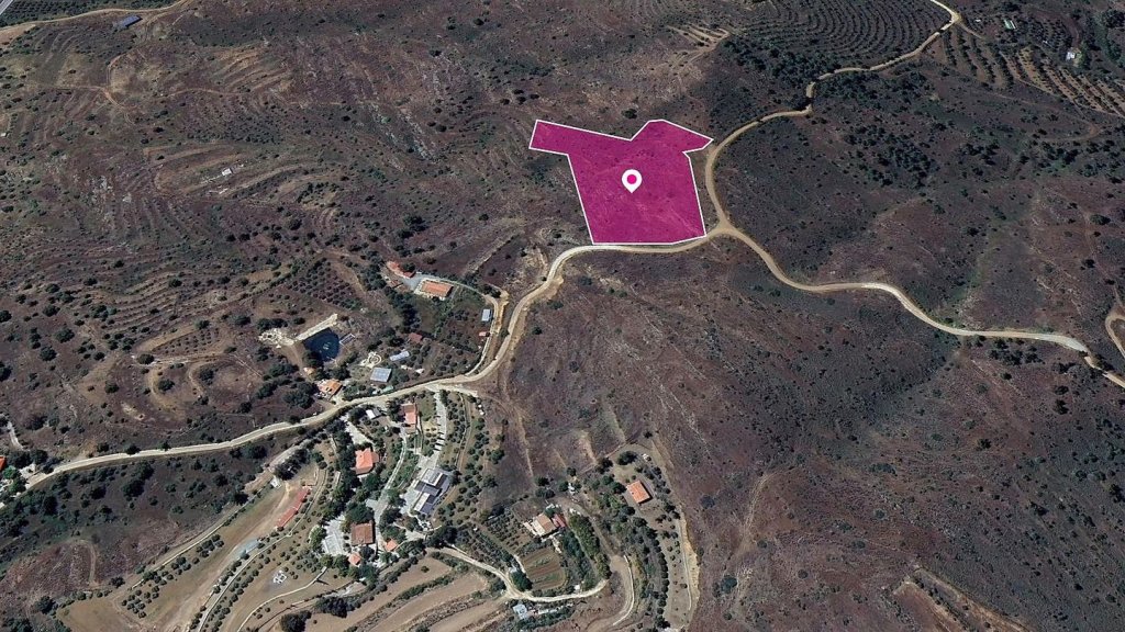 (Share) Live stock field in Kalo Chorio Oreinis, Nicosia | Photo 1