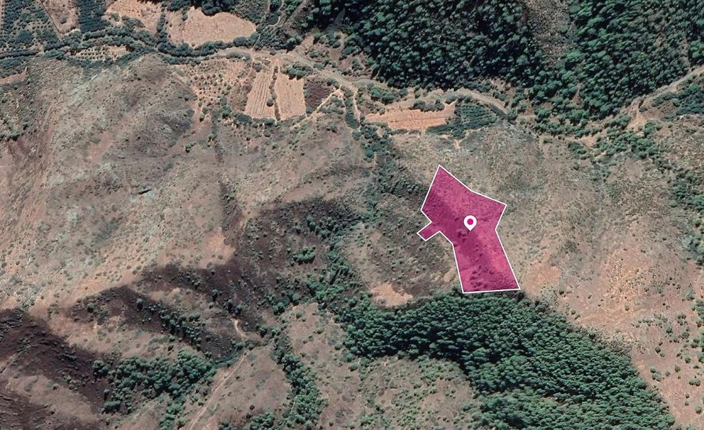 Agricultural field in Pigenia, Nicosia | Photo 1