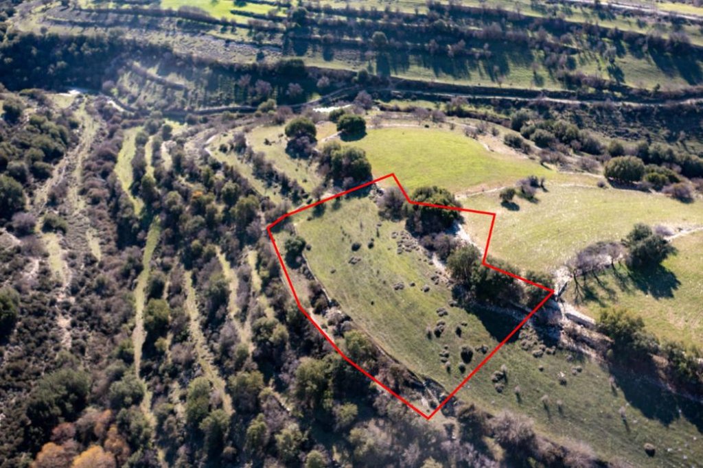 Field in Dora, Limassol | Photo 1