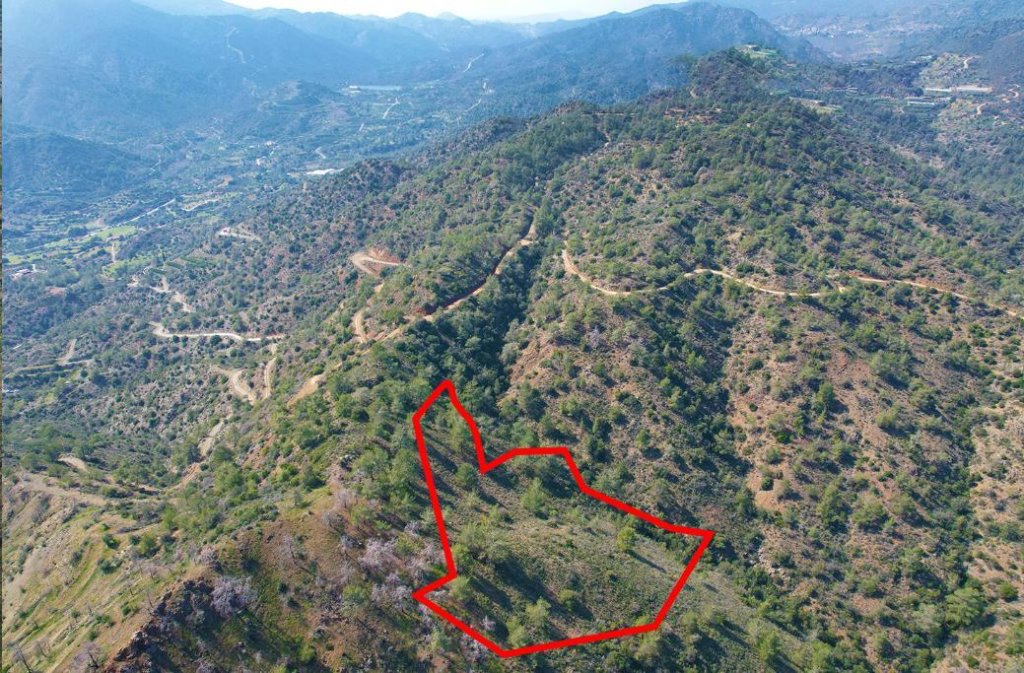 Field in Arakapas, Limassol | Photo 1