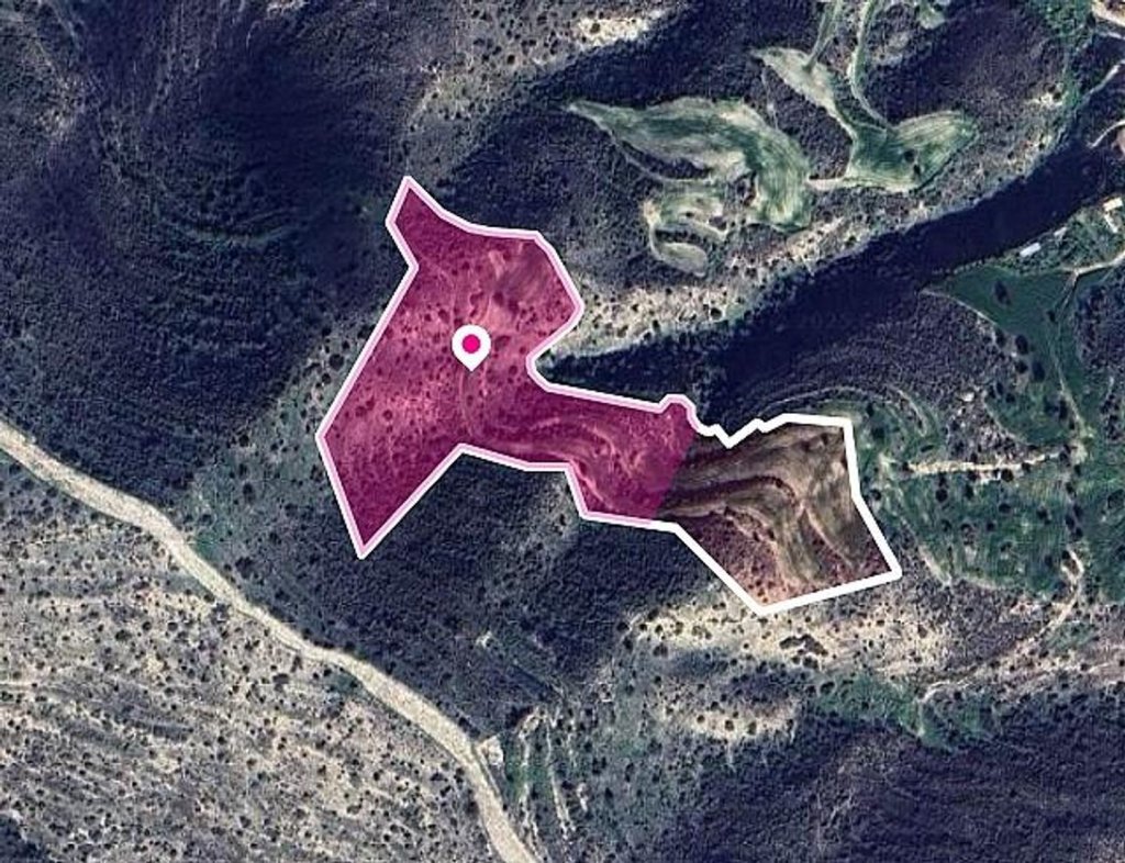 Share of a Field in Agios Theodoros, Laranca | Photo 1