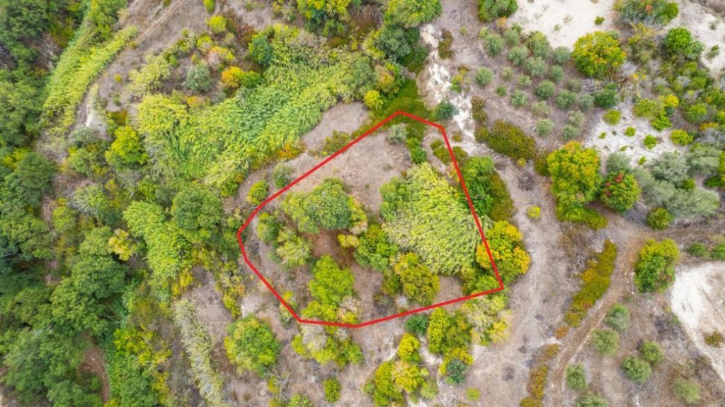 Agricultural field in Theletra, Paphos | Photo 1