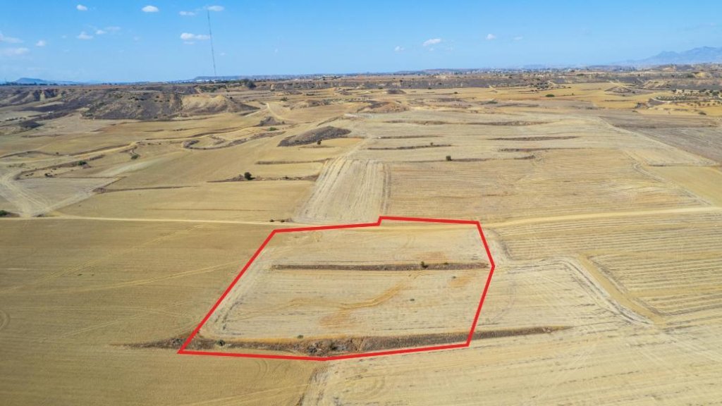 Shared agricultural field in Pera, Nicosia | Photo 1