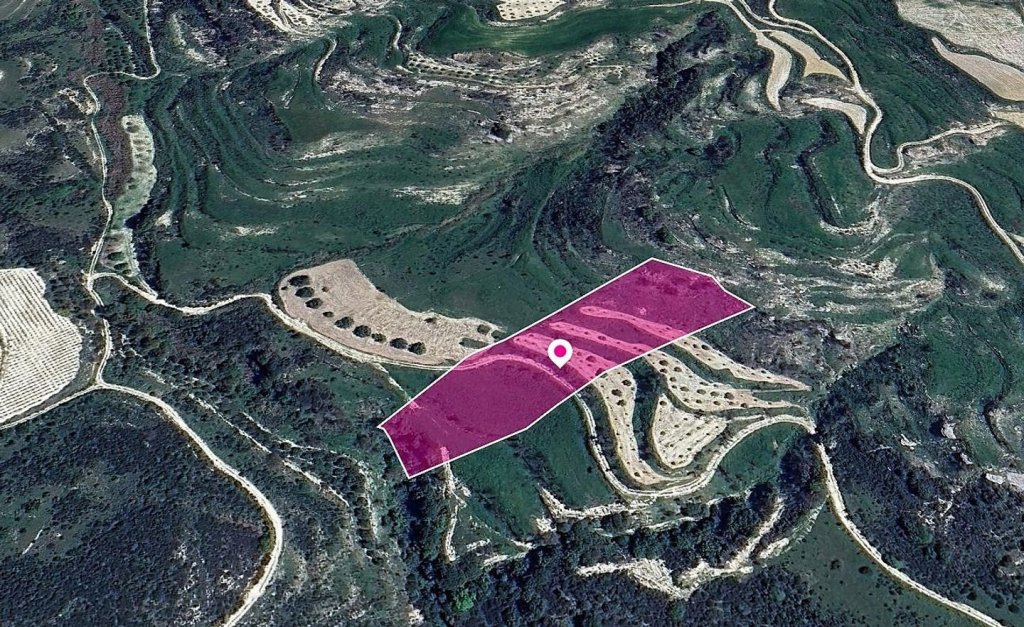 Animal Breeding Zoned Field in Stroumpi, Paphos | Photo 1