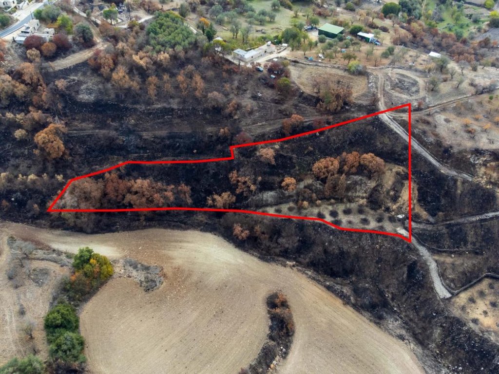 Agricultural Field in Drymou, Paphos | Photo 1