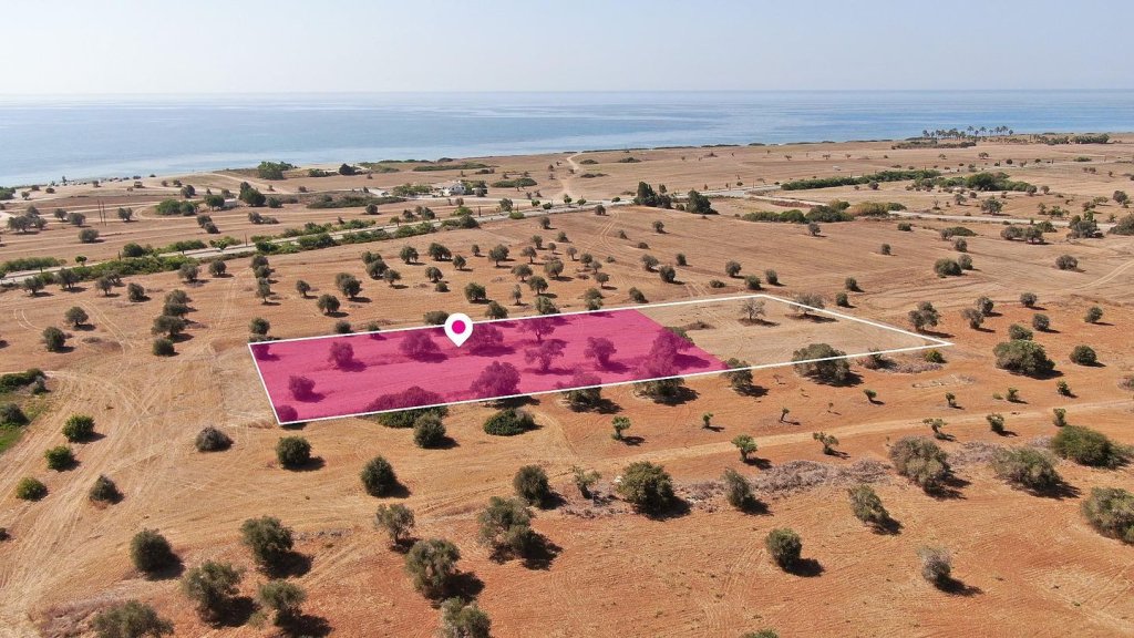 75% Share of a Touristic Field in Mazotos, Larnaca | Photo 1
