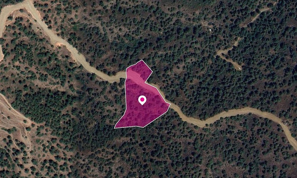 Agricultural Field in Temvria, Nicosia | Photo 1