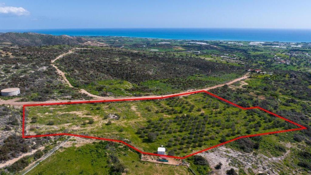 Field in Maroni, Larnaca | Photo 1