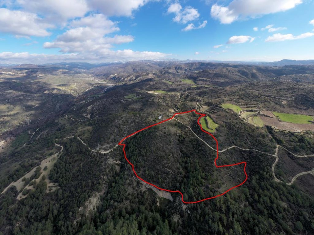 Shared field in Dora, Limassol | Photo 1