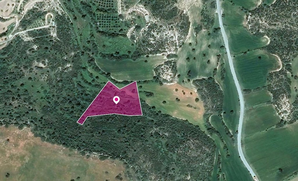 Field in Agios Theodoros, Larnaca | Photo 1