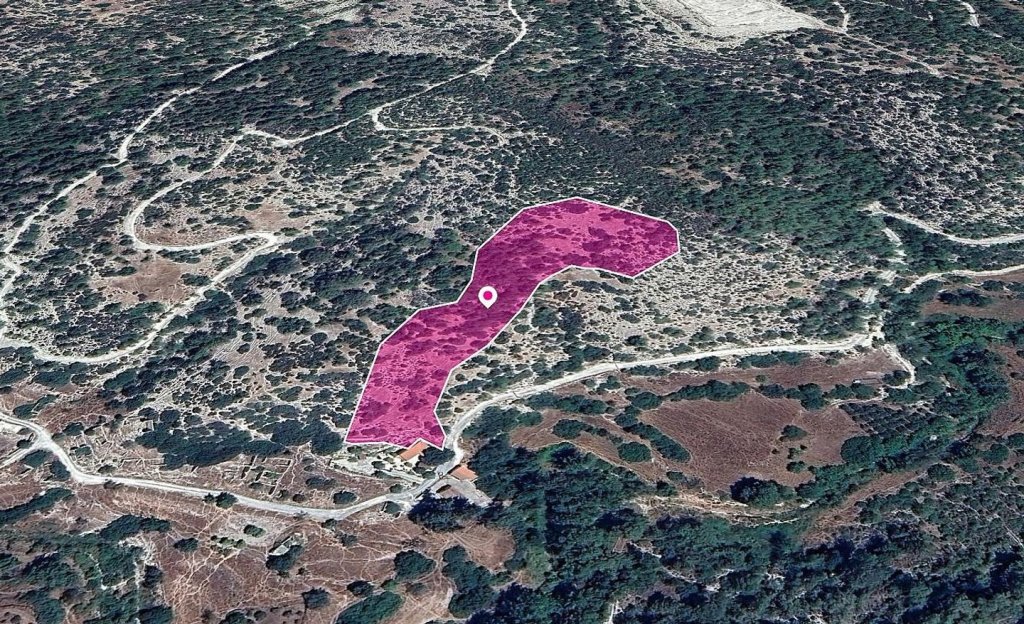 Special Protection Zoned Field in Pano Archimandrita, Paphos. | Photo 1