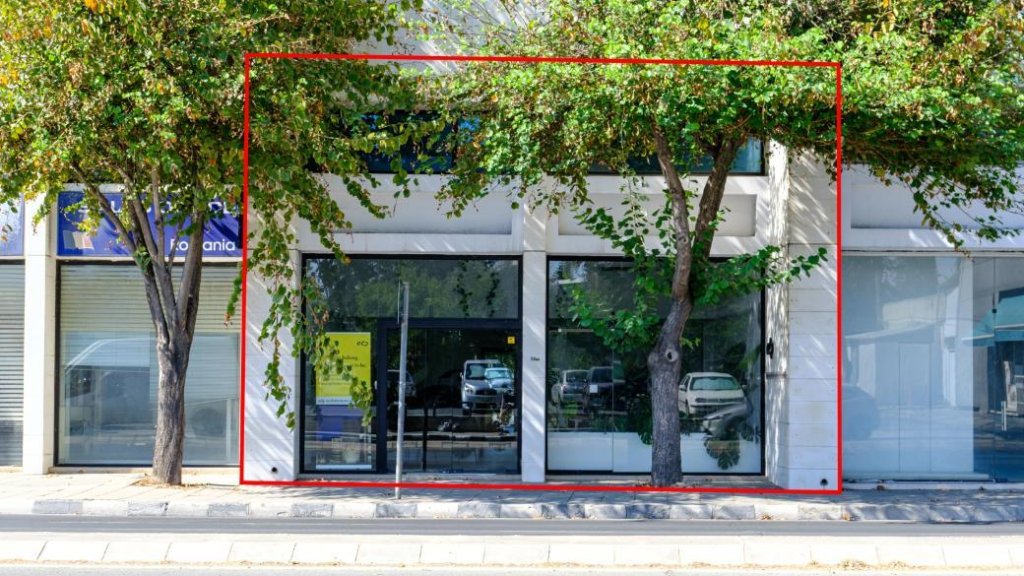 Office in Agioi Omologites, Nicosia | Photo 1