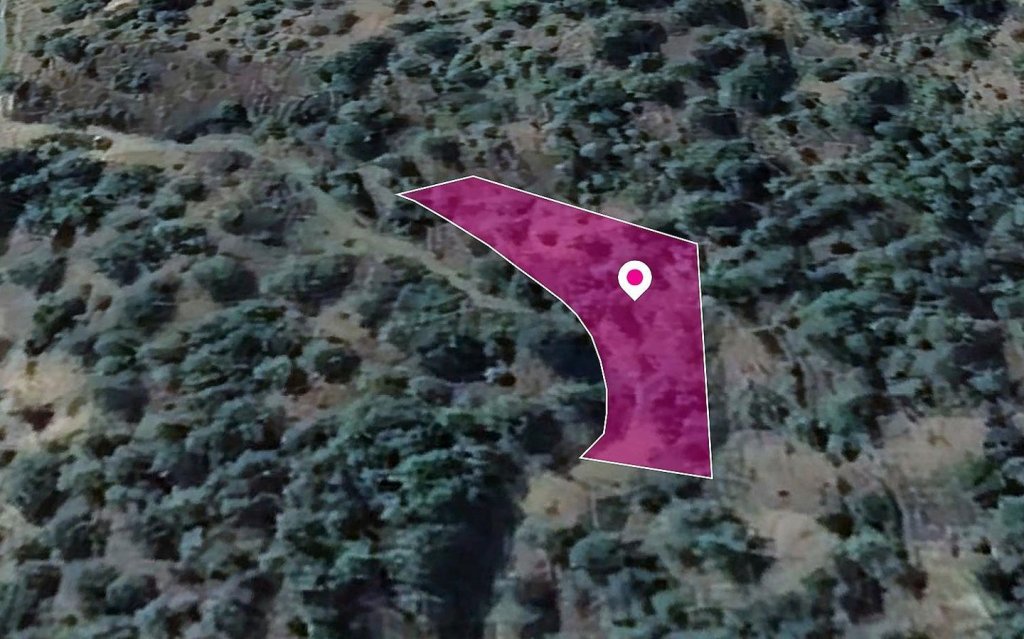 Field In Kampos | Photo 1