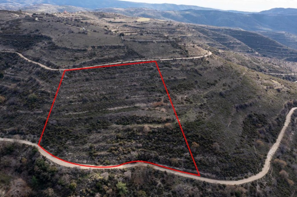 Field in Arsos, Limassol | Photo 1