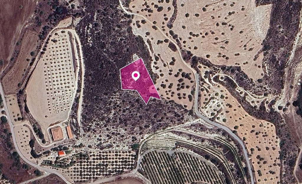 Share of a Field in Skarinou, Larnaca | Photo 1