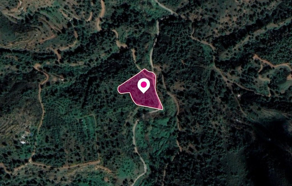 Agricultural Field, Kampos | Photo 1