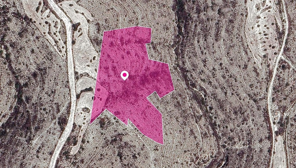 Agricultural Field in Kato Drys, Larnaca | Photo 1