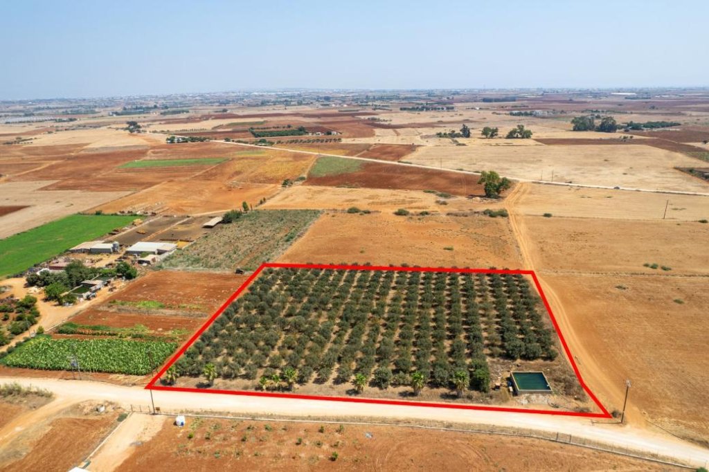 Agricultural field in Avgorou, Famagusta | Photo 1