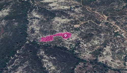 Field, Anogyra, Limassol - Image 1