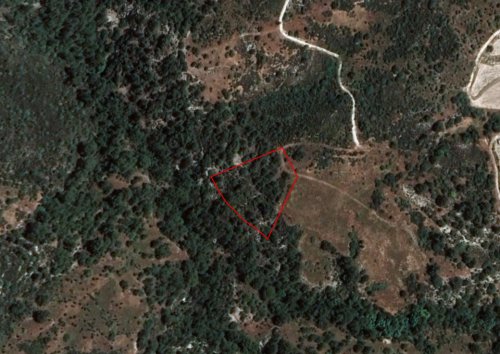 Field in Dora, Limassol - Image 1