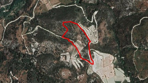 Field in Dora, Limassol - Image 1