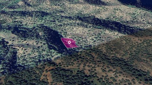 Agricultural Field, Pomos, Paphos - Image 1