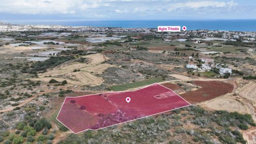 Large Agricultural Field in Paralimni, Ammochostos - Image 1
