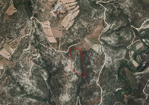 Field in Dora, Limassol - Image 1