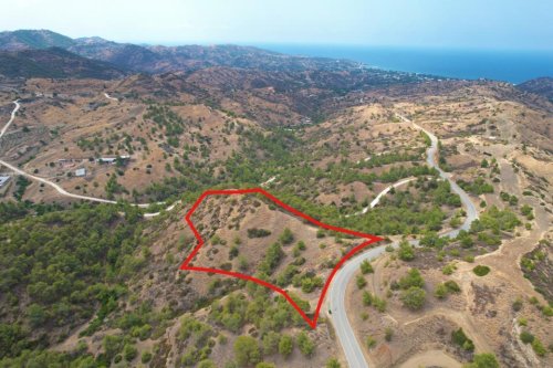 Field in Pano Pyrgos, Nicosia - Image 1