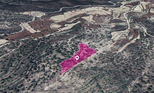 (Share) Field in Agios Therapon Community, Limassol - Image 1