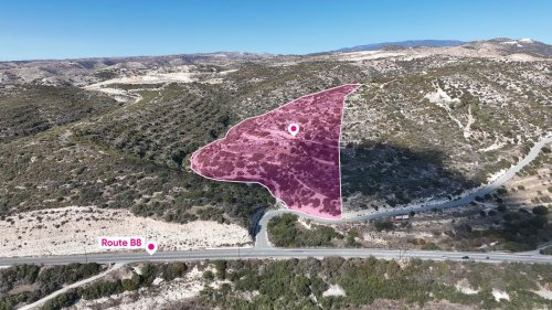 Special Protection Large - Field in Alassa, Limassol - Image 1