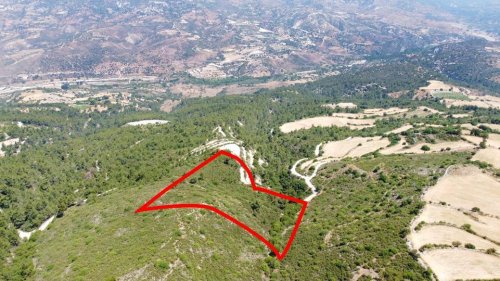 Field in Prastio, Paphos - Image 1