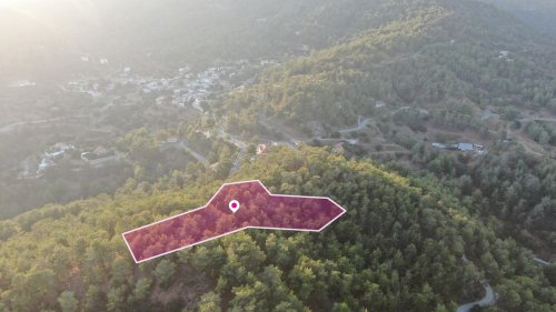 (Share) Residential field in Vavatsinia in Larnaca - Image 1