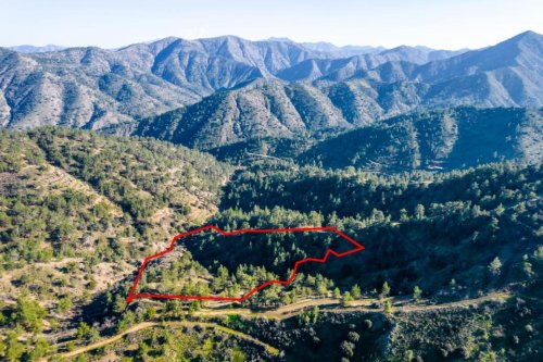 Agricultural field in Fterikoudi, Nicosia - Image 1