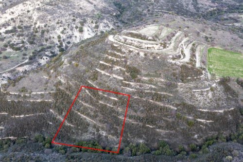 Field in Dora, Limassol - Image 1