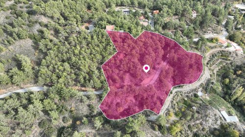 (Share) Residential field in Pera Pedi, Limassol - Image 1